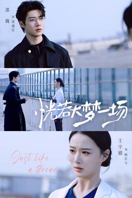 恍若大梦一场